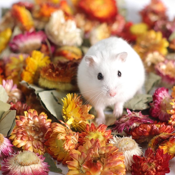 PINVNBY Hamster Bedding, 7OZ Natural Flower Small Pet Bedding Small