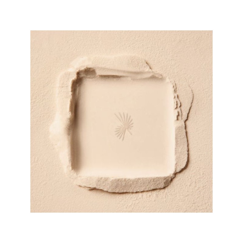 YUNJAC Alphanax Powder Compact 11g