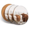 4 Set - Angus Wild Cows Herd - Coasters Kitchen