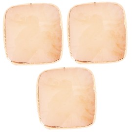 FOMIYES 3 Pcs Professional Manicure Tools Set Nail Art Palette Resin Square Display Plate for Home
