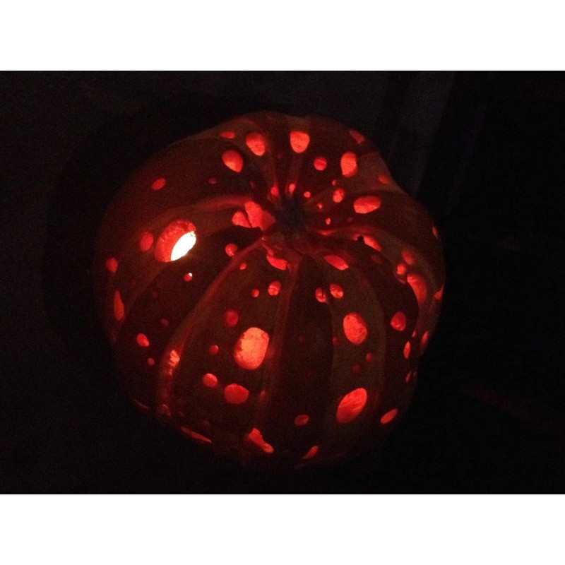 Honbay 4-Piece Clay Hole Cutters for Pottery