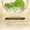 SKIN1004 Madagascar Centella Ampoule (30 ml)