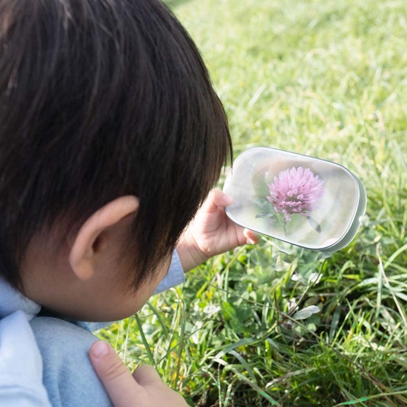 +d Gulliver Frame Clear Magnifier Loupe DA-1340-CL