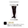 Kanebo Excellence 110-Denier Tights Limited Item (L-LL)