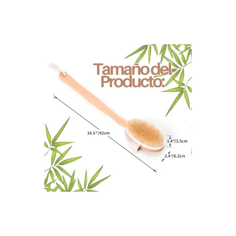 Cepillo Corporal Universo en Linea Cerdas Naturales Mango Removible