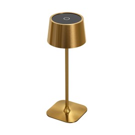 Artilo Glass Lampshade Table Lamp,Cordless Desk lamp,Battery Operated lamp,USB Rechargeable LED Desk Lamp,Dimmable,Couple Dinner/Restaurant/Outdoor Camping/Bedroom,Touch Switch,Copper Color