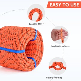 Double Braid Arborist Rope,1/2 in x 150 ft Arborist Rigging Polyester Rope,50 Strand Rope Swing for Tree Bull Rope for Outdoor, Tree Work, Swing, Sailing, Orange/Black