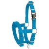 Kerbl Alpaca Headcollar Adjustable - Blue (Dimensions 17 x 18
