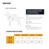 Carhartt - Arnés de Nailon Ripstop para Perro, Duradero y