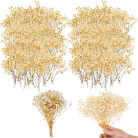 MLRUQRX 100 Pezzi Di Fiori Per Bomboniere Fai Da Te, Gypsophila Essiccata Con Stelo Giallo E Fiore Crema, Misura Standard Per Artigianato In Resina E Decorazioni Nuziali