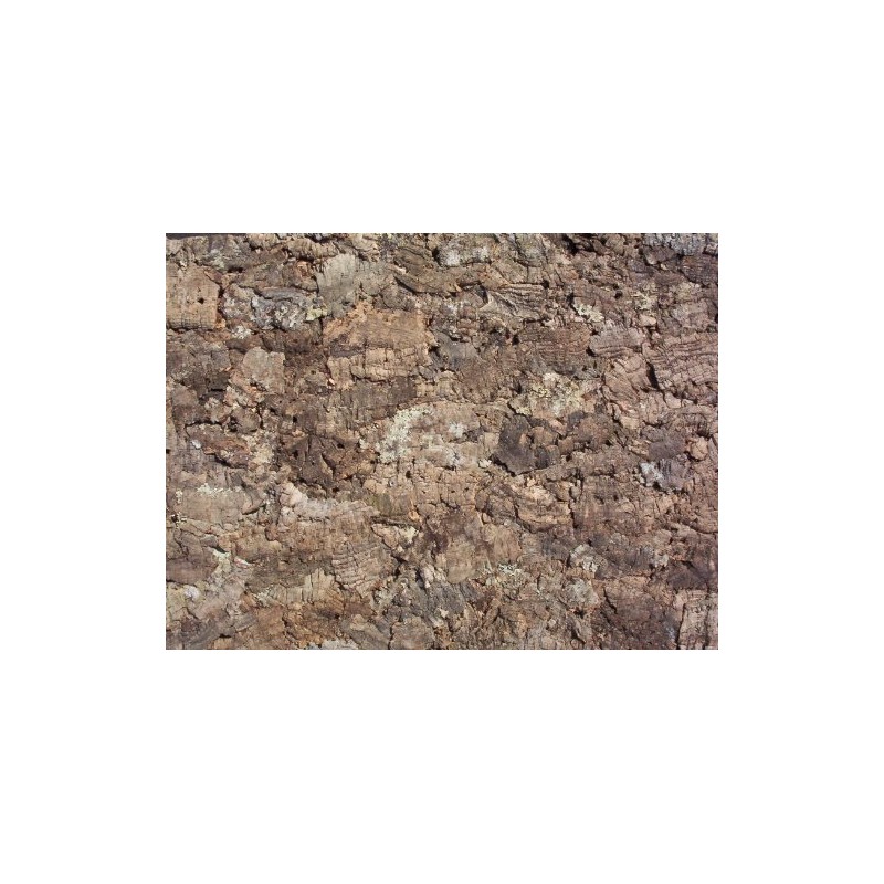 Cork Back Wall, Natural, 90 x 60 cm, Terrarium, Cork