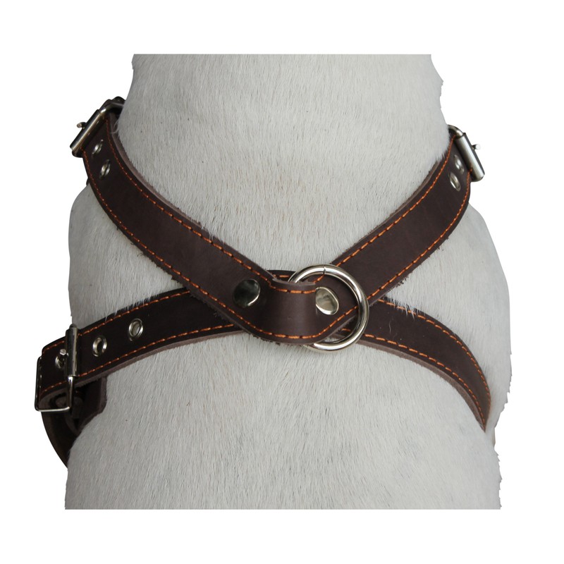 Dogs My Love Brown Genuine Leather Dog Harness, Medium. 25"-30"