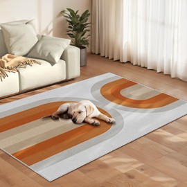 LKTRYFAM Khaki Rainbow Rug for Living Room, 4x6 Washable Area Rugs, Boho Ultra-Thin Soft Bedroom Rug, Non Slip Dining Room Rug, Indoor Lightweight Stain Resistant Rug Low-Pile Throw Rugs for Office