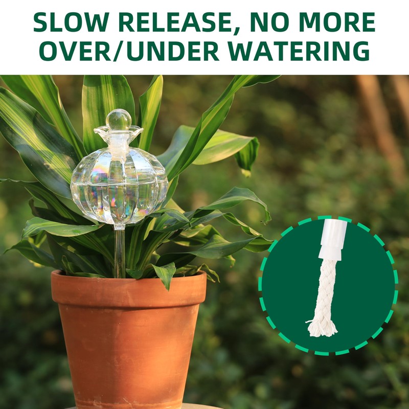 Soilagua 10 oz Large Top Fill Cactus Plant Self Watering