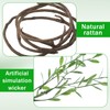 DANHMAO Jungle Theme Decoration Set- 74FT Artificial Hanging Willow Vines