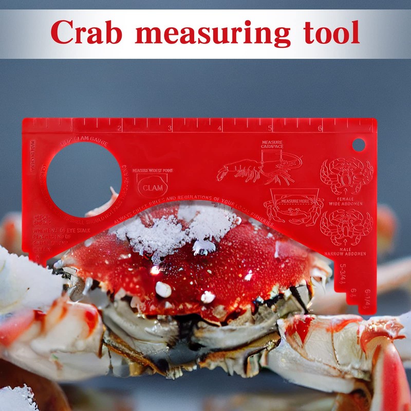 Kathfly 4 Pcs Crab Gauge Measure Clam Measuring Tool for