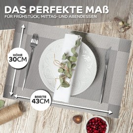 Loco Bird Placemats, Set of 6, Silver, 44 x 32 cm, Washable PVC Placemats, Heat Resistant Table Mat, Place Mats, Table Mat