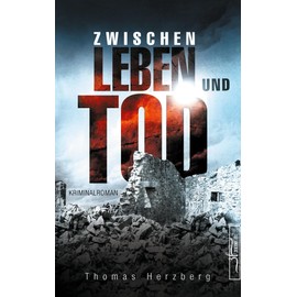 Zwischen Leben und Tod: Hamburg in Trümmern 2 (Kriminalroman)