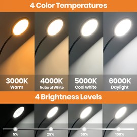 RICIAL 2-in-1 Light Therapy Lamp – Sun Lamp with 4 Brightness Levels, 4 Color Temperatures, Timers & Memory, Sunlight Lamp Flexible Design for Home Office