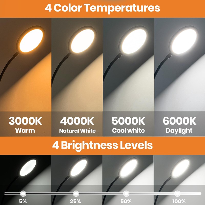 RICIAL 2-in-1 Light Therapy Lamp – Sun Lamp with 4