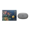 Dachun Soap Body Soap (Spring Forest C)