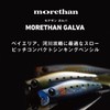 Daiwa Morethan Galba Sea Bass Sinking Pencil Lure, Bora Glow
