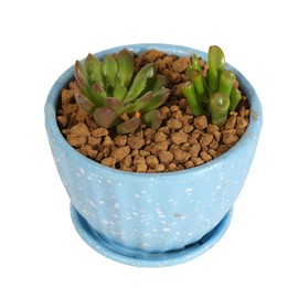 ZzbTwinkle 6lb Japanese Super Hard Akadama Bonsai Soil(Small Grain 3-6mm),Soil Mixture for Small to Medium-Sized houseplants Bonsai Plants