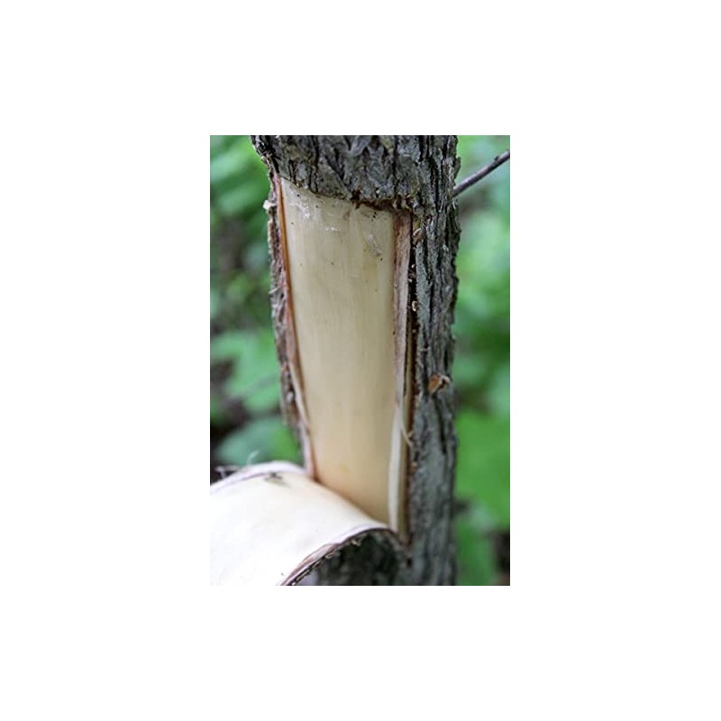 Slippery Elm Bark - Dried Ulmus rubra C/S from 100%