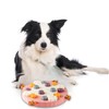 Interactive Pet Treat Dispenser - Slow Feeder, Brain Game, Puzzle,