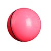 Rolling Pet Toy Ball - Color: pink
