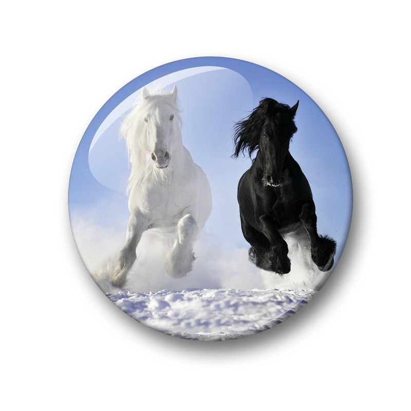 Merchandise for Fans Fridge Magnets for Horses Design Black Foal