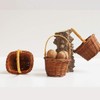 1PC rattan basket small basket with handle mini easter basket