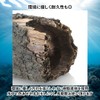 Charmoon Aquarium Object Driftwood Hideaway Shelter Aquarium Ornament Realistic Figurine