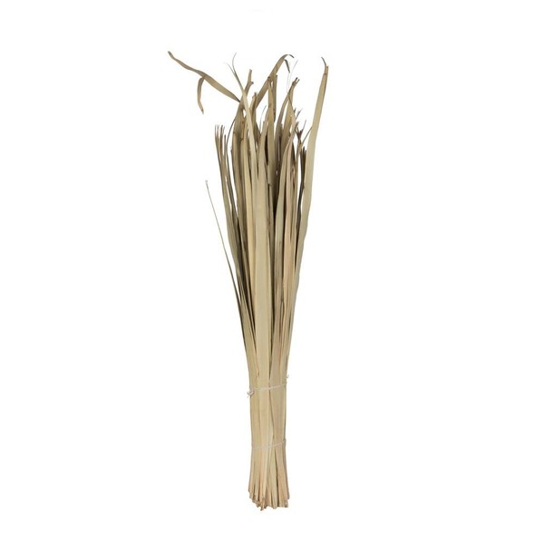 Vickerman 679265-40" Sun Palm Leaf Natural 100/pk (H7SUL900) Dried and