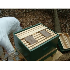 Ambrose Bee Supply Pollen Pattie, High Protein Formula Feed for All Levels of Beekeepers, Pack of 2