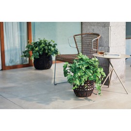 Tokyodo MAGIQ FG001834-zzz Artificial Flowers, Wire Planting Bush, Green, Leaves, L 0.2 - 0.6 x L 13.0 x W 21.3 inches (0.5 - 1.5 x 33 x 5