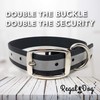 Regal Dog Products Large Black Reflective Dog Collar and Leash