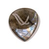 Wambooka Native Picks Rare Stones - Blue Ocean Transparent -