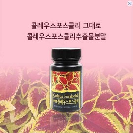 Coleus Forskohlii Extract Powder Tablets Import Report to Ministry of Food and Drug Safety / 콜레우스 포스콜리추출 가루 정 알약 식약처 수입신고