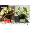Large Size Potassium Polyacrylate Polymer SAP Water-Holding Crystals Promote Plant