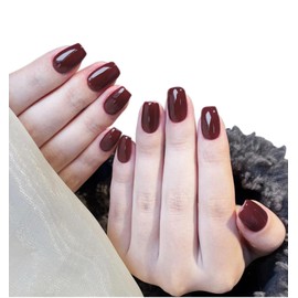 Herbeluemily Nail Tip, Short, Handmade, Storage Case, 10 Pieces, Gel Nail Style, Red, A (Gloss Red) S