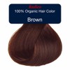 Radico Organic Hair Colour - Brown, 100g