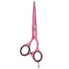 JAGUAR Pastel Plus Candy Crane 5.5 Inch Hairdressing Scissors Ergonomic