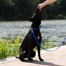 Ferplast Dog Collar Large Size Dog Collar in Padded Nylon Adjustable Metal Buckle, Neck Size 43-50 cm, Red