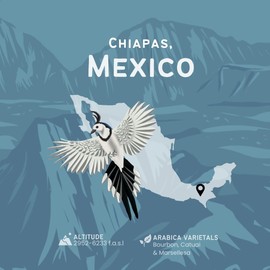 Canopy Point Coffee | Chiapas Mexico Light Roast | 5lb Bulk | Peach & Honeycomb Notes | Arabica Single Origin | Specialty Blonde Roast | Air Roasted (Bulk Whole Bean, 5lbs)