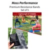 Moss Performance Premium Resistance Bands, for Physical Therapy, Strength Training,