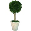 Mills Floral Company Box Topiary, Single, Large, 6" x 16"