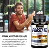 Prostate - Stinging Nettle, Saw Palmetto, Beta-Sitosterol - Urinary Tract