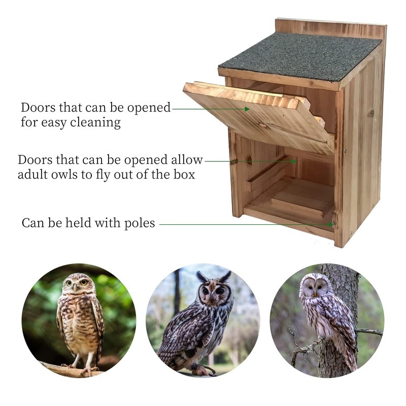 Owl House Premium Wooden Bird House Kit - Cedar Owl