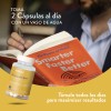 Focus Nootropicos Melena De Leon Bacopin L Glutamina Sabor Sin